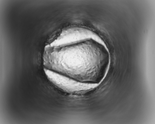 X0000088421301200706121425