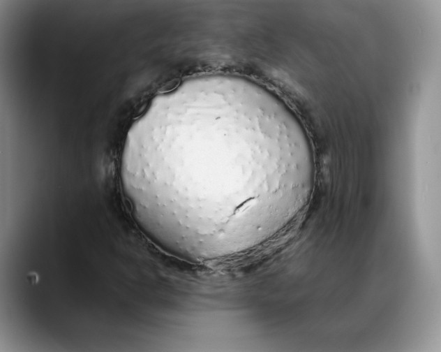 X0000088421302200706121425