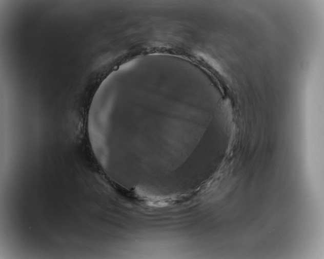 X0000088421303200706121425