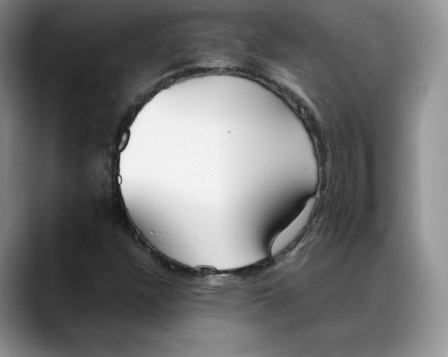 X0000088421304200706121425