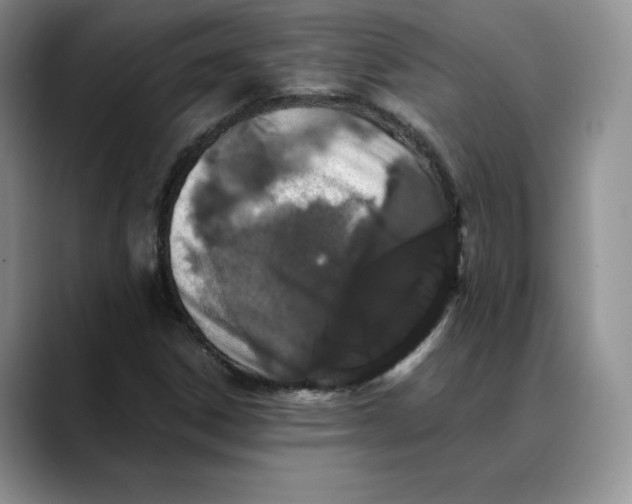 X0000088421306200706121425