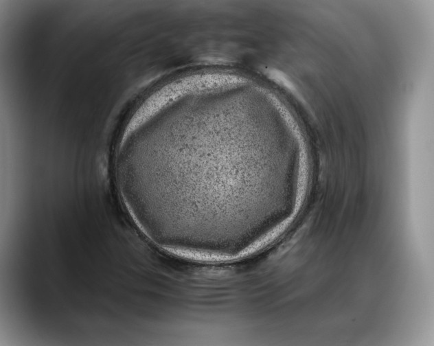 X0000088421307200706121425