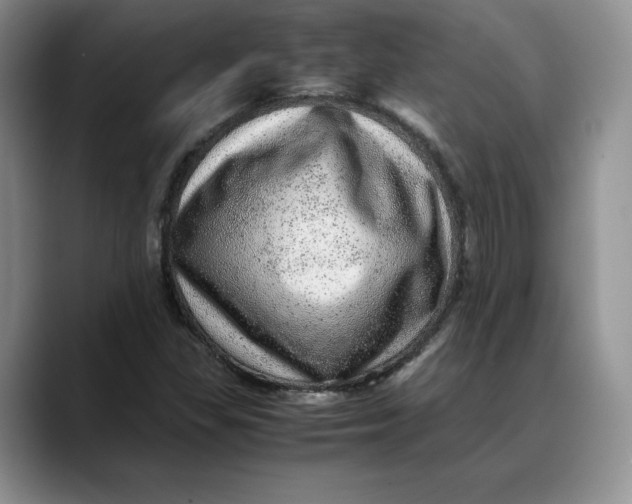 X0000088421309200706121425
