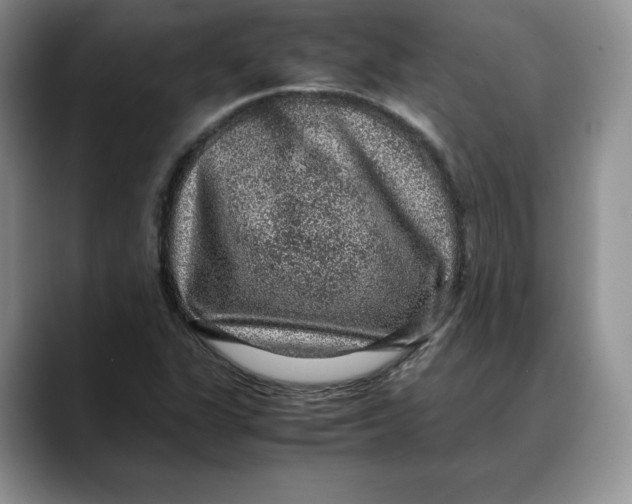 X0000088421311200706121425