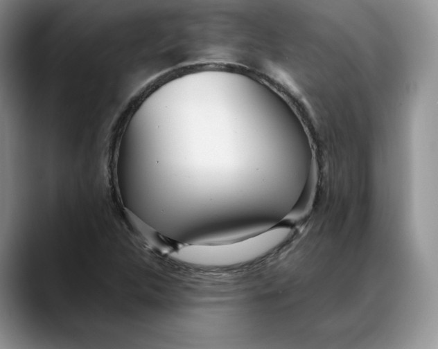 X0000088421312200706121425