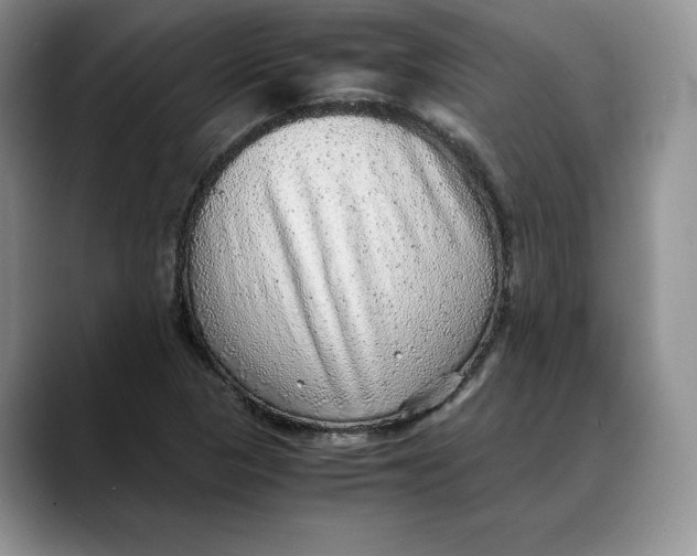 X0000088421313200706121425
