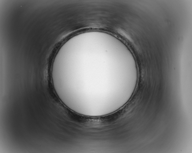 X0000088421315200706121425