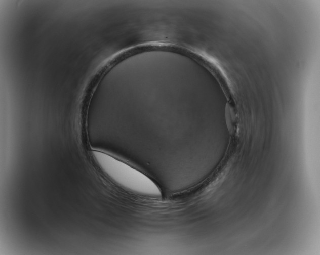 X0000088421319200706121425
