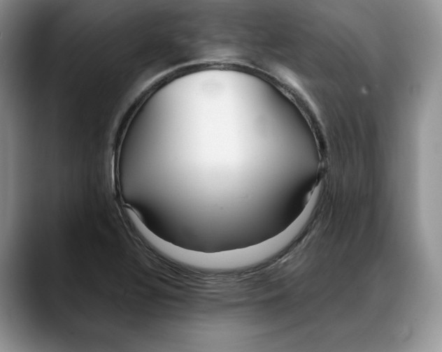 X0000088421320200706121425