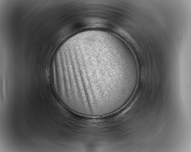 X0000088421321200706121425