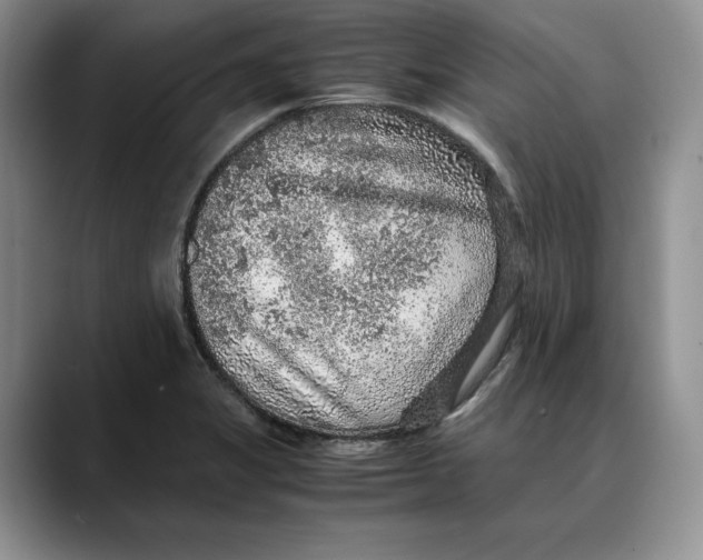 X0000088421325200706121425
