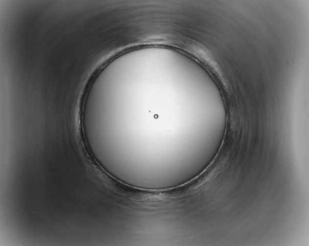X0000088421328200706121425
