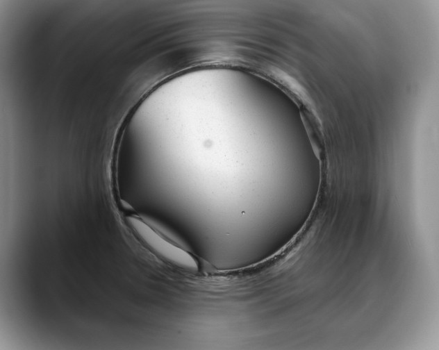 X0000088421330200706121425