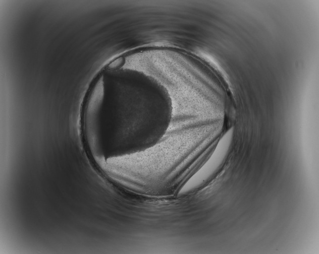 X0000088421331200706121425