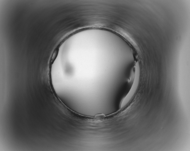 X0000088421332200706121425