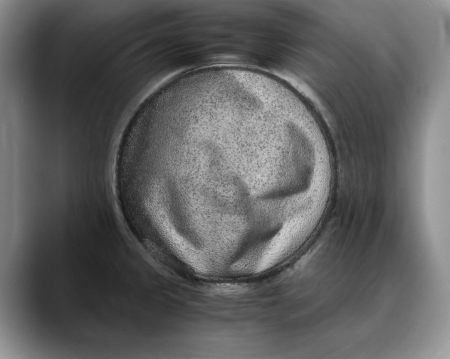 X0000088421333200706121425