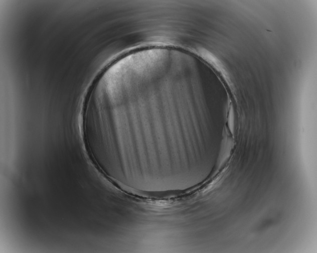X0000088421334200706121425