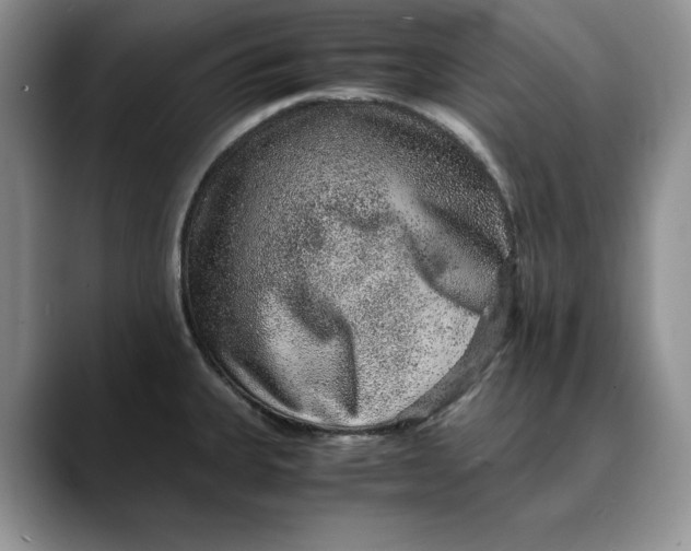 X0000088421335200706121425