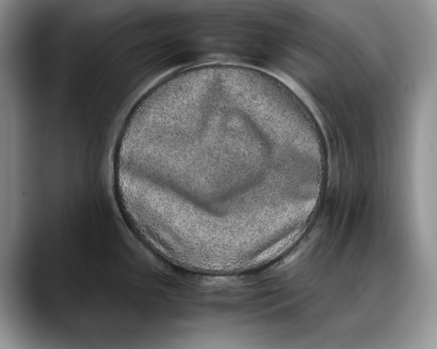 X0000088421341200706121426