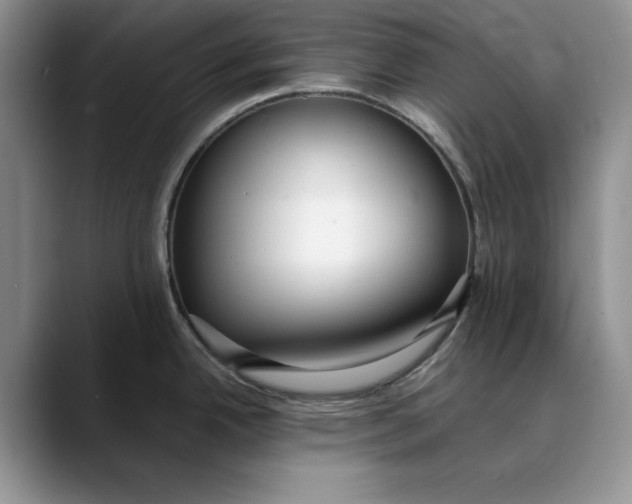 X0000088421342200706121426