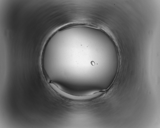 X0000088421344200706121426