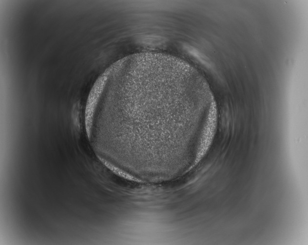 X0000088421346200706121425