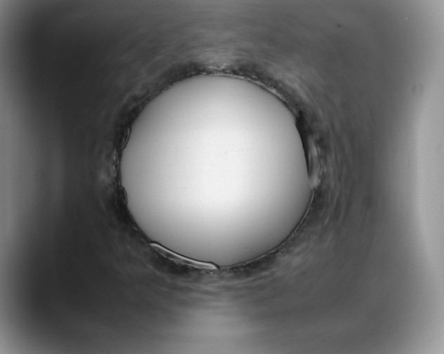 X0000088421349200706121425