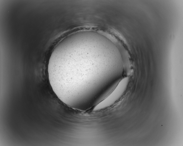 X0000088421352200706121425
