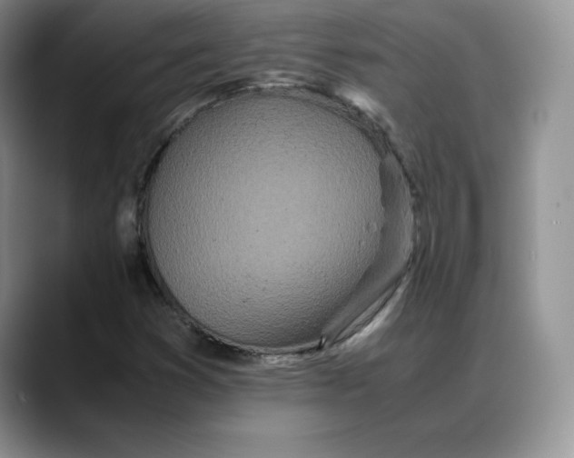 X0000088421353200706121425