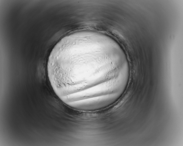 X0000088421354200706121425