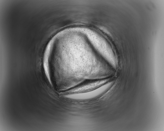 X0000088421355200706121425