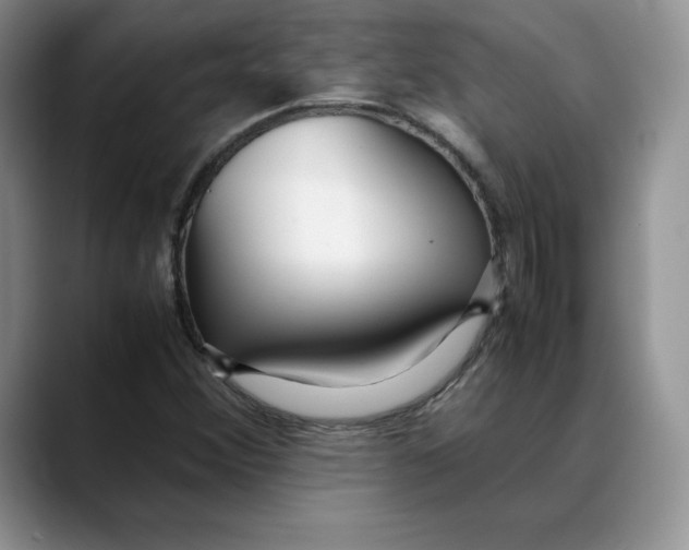 X0000088421356200706121425