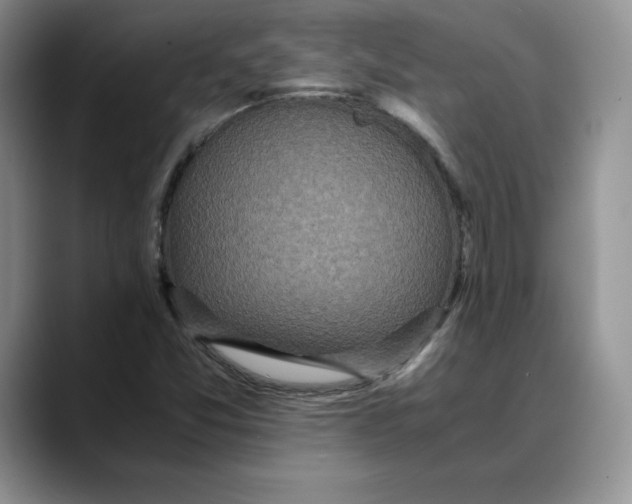 X0000088421357200706121425