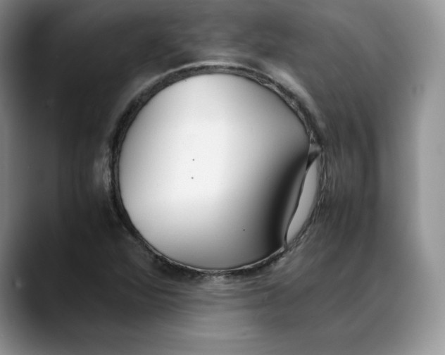 X0000088421360200706121425
