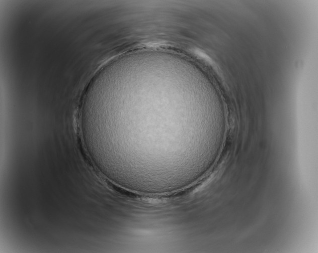 X0000088421361200706121425
