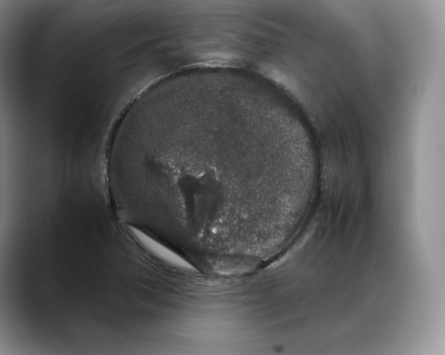 X0000088421362200706121425