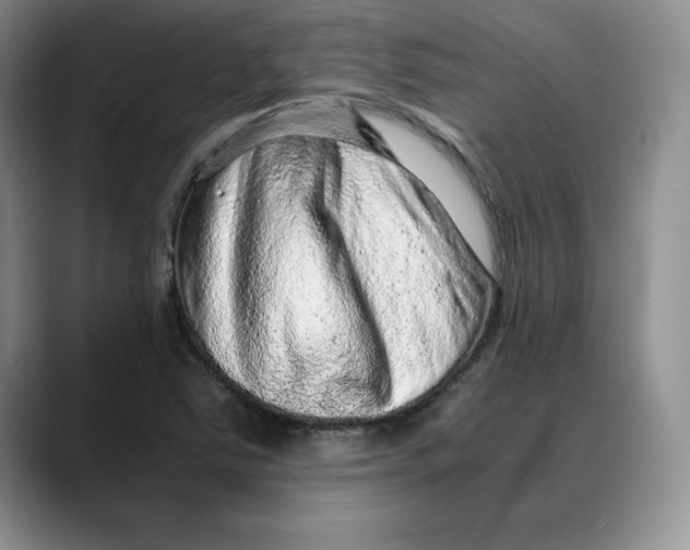 X0000088421363200706121425