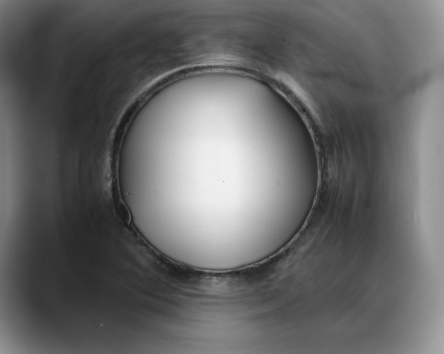X0000088421364200706121425