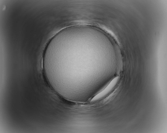 X0000088421365200706121425