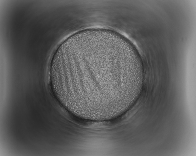 X0000088421367200706121425