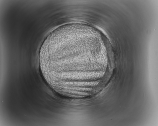X0000088421371200706121425