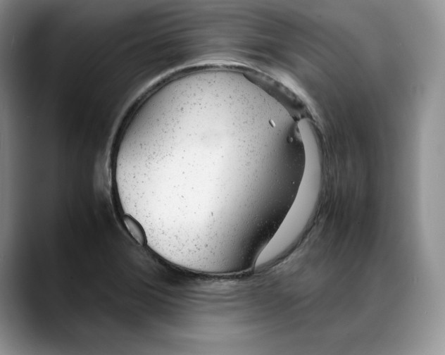 X0000088421372200706121425