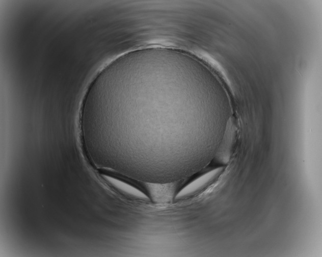 X0000088421373200706121425