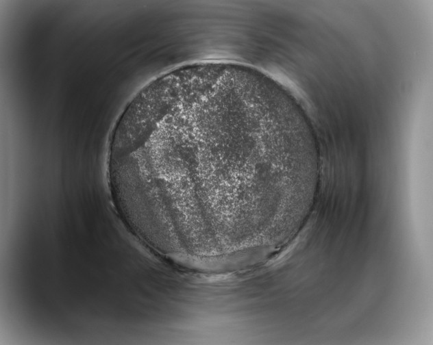 X0000088421374200706121425