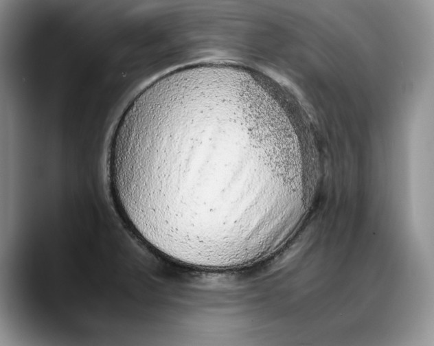 X0000088421375200706121425
