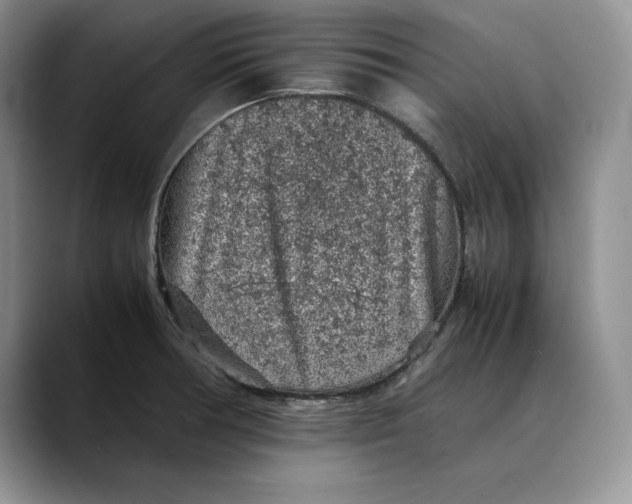 X0000088421378200706121425