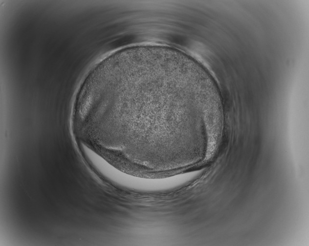X0000088421379200706121425