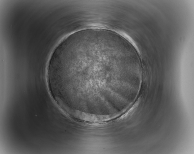 X0000088421381200706121425
