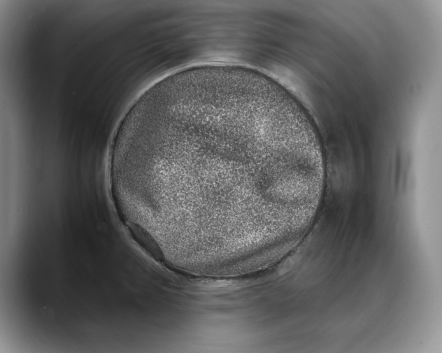 X0000088421382200706121425