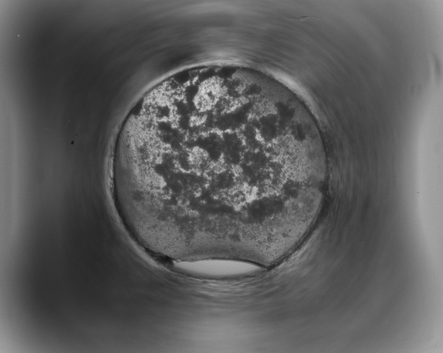 X0000088421383200706121425